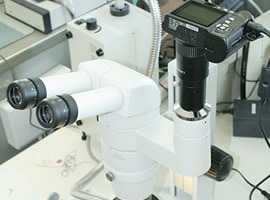 システム実体顕微鏡