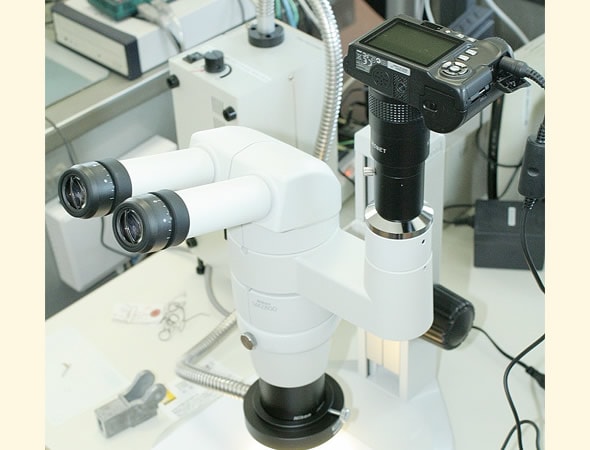 システム実体顕微鏡
